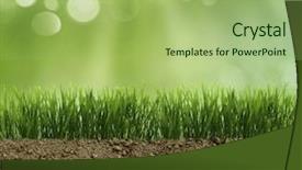  Presentation with growing - Slide set enhanced with growing grass in the earth background and a mint green colored foreground