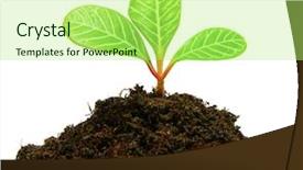  Presentation with soil conservation - PPT theme featuring growing green plant in soil background and a  colored foreground
