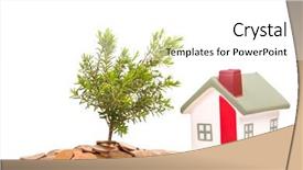  Presentation with growing - Slides having growing housing market - coins house and plant isolated background and a white colored foreground
