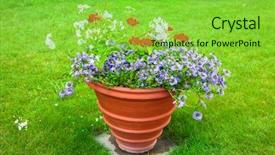  Presentation with hawaiian flower - Theme featuring growing housing market - flower pot in the garden background and a  colored foreground