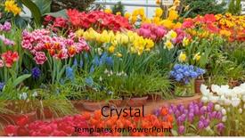  Presentation with plants growing - Presentation theme with growing housing market - flowers in green house floral background and a red colored foreground