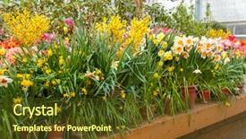  Presentation with plants growing - PPT theme featuring growing housing market - flowers in green house floral background and a tawny brown colored foreground