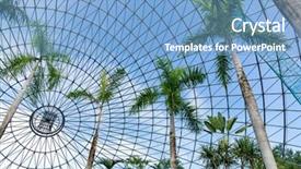  Presentation with growing tree - Amazing slide set having growing housing market - pine tree in green house backdrop and a  colored foreground