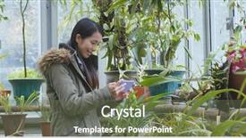  Presentation with green house - Cool new presentation with growing housing market - woman taking photo in green backdrop and a  colored foreground