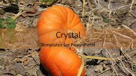  Presentation with growing - Slide deck enhanced with growing in a pumpkin patch background and a gold colored foreground