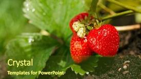  Presentation with soil shovel in the garden - Presentation theme featuring growing in the garden soil background and a tawny brown colored foreground