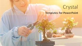  Presentation with bonsai - Slides consisting of growing-little-bonsai-tree background and a blonde colored foreground