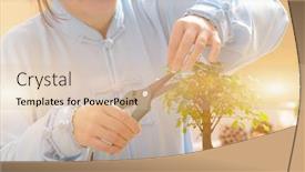  Presentation with bonsai - Slides featuring growing-little-bonsai-tree background and a lemonade colored foreground