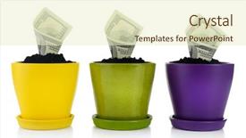  Presentation with growing micro greens isolated - Cool new presentation design with growing money in colorful flowerpots backdrop and a soft green colored foreground
