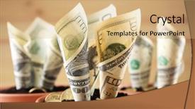  Presentation with growing - Presentation theme with growing money in flowerpots close background and a coral colored foreground