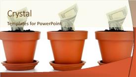 Presentation with growing - Cool new theme with growing money in flowerpots isolated backdrop and a cream colored foreground