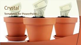  Presentation with growing micro greens isolated - Colorful presentation enhanced with growing money in flowerpots isolated backdrop and a cream colored foreground