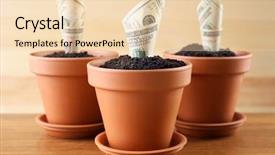  Presentation with growing - Slide deck consisting of growing money in flowerpots background and a lemonade colored foreground