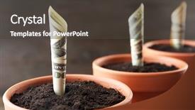  Presentation with growing - Amazing presentation theme having growing money in flowerpots backdrop and a dark gray colored foreground