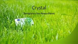  Presentation with green lawn - Presentation theme enhanced with growing money in green grass background and a  colored foreground
