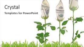  Presentation with roses - Presentation having growing money roses concept image background and a white colored foreground