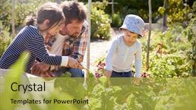  Presentation with helping - Presentation theme consisting of growing old - children helping father as they background and a yellow colored foreground