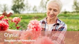  Presentation with farming - Beautiful slide deck featuring growing old - farming gardening and people concept backdrop and a coral colored foreground