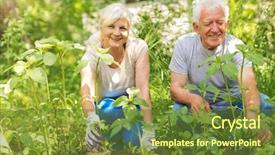  Presentation with seniors - Slide deck enhanced with growing old - happy healthy seniors gardening background and a tawny brown colored foreground