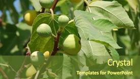  Presentation with fig tree - Colorful presentation theme enhanced with growing on a fig tree backdrop and a tawny brown colored foreground
