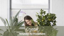  Presentation with orange plant - Amazing slide set having growing on plant in house backdrop and a  colored foreground