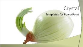  Presentation with onion - Presentation theme featuring growing onion isolated on white background background and a white colored foreground