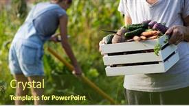  Presentation with beetroot - Presentation design featuring growing-organic-food-female-farmer background and a tawny brown colored foreground