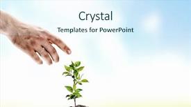  Presentation with black babies hands and feet in black human hands - Presentation theme having blue sky and clear sea at limassol promenade molos background and a light blue colored foreground