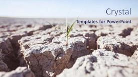  Presentation with drought - PPT layouts consisting of growing-plant-on-drought-land background and a sky blue colored foreground