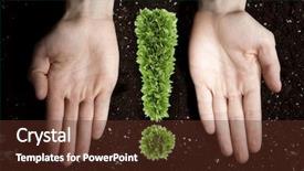  Presentation with pale male hawk - Audience pleasing presentation theme consisting of growing population - exclamation green mark in male backdrop and a tawny brown colored foreground