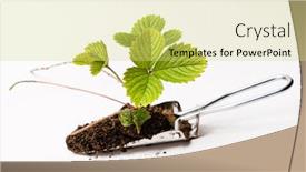  Presentation with plants growing - PPT theme having growing-strawberry-plants background and a yellow colored foreground