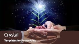  Presentation with sprout - Beautiful theme featuring growing together - green sprout in human hands backdrop and a tawny brown colored foreground