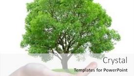  Presentation with growing tree - 