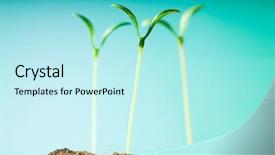  Presentation with green life - Cool new slide deck with growing tree roots - green seedling illustrating concept backdrop and a cool aqua colored foreground