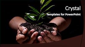  Presentation with plant roots - Presentation enhanced with growing tree roots - shot of a senior man background and a black colored foreground