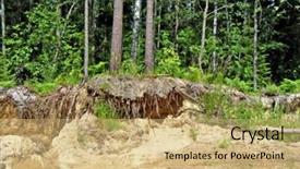  Presentation with tree roots - Presentation theme having growing tree roots - wood on edge background and a coral colored foreground