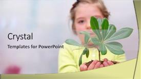  Presentation with seed growing - Presentation theme with growing tree seed - growth concept with small plant background and a sky blue colored foreground