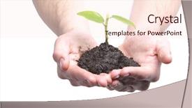  Presentation with sprout - Colorful theme enhanced with growing tree seed - person holding a sprout backdrop and a lemonade colored foreground