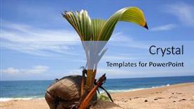  Presentation with sprouting plant - PPT layouts featuring growing tree seed - plant is sprouting up background and a light blue colored foreground