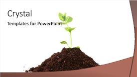  Presentation with salinity in plant - Theme consisting of growing tree seed - young plant in ground background and a  colored foreground