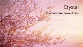  Presentation with fruit tree - Cool new PPT theme with growing trees - cherry blossom over pink sunset backdrop and a lemonade colored foreground