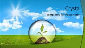  Presentation with tall - Audience pleasing PPT theme consisting of growing trees - glass sphere with plant backdrop and a teal colored foreground