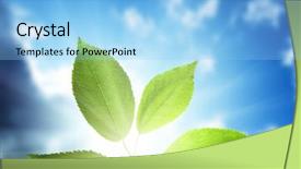  Presentation with sunny sky - Amazing presentation having growing trees - leaves and sunny sky backdrop and a light blue colored foreground
