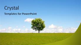  Presentation with growing tree - PPT theme having growing trees - tree on field background and a light blue colored foreground