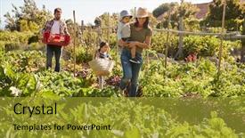  Presentation with grown - Slides enhanced with grown - family harvesting produce from allotment background and a gold colored foreground