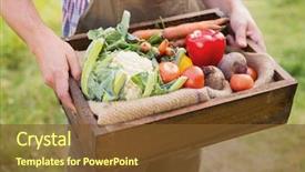  Presentation with grown - Audience pleasing PPT theme consisting of grown - farmer carrying box of veg backdrop and a tawny brown colored foreground