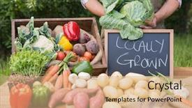  Presentation with organic - Cool new PPT theme with grown - farmer selling organic veg backdrop and a coral colored foreground