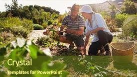  Presentation with working together - Beautiful slides featuring grown - mature couple working on community backdrop and a tawny brown colored foreground
