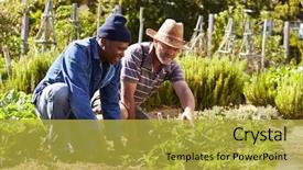  Presentation with working together - Slide set featuring grown - two men working together background and a yellow colored foreground
