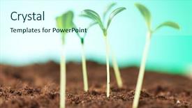  Presentation with seedling - Colorful presentation design enhanced with organic growth - green seedling illustrating concept backdrop and a  colored foreground
